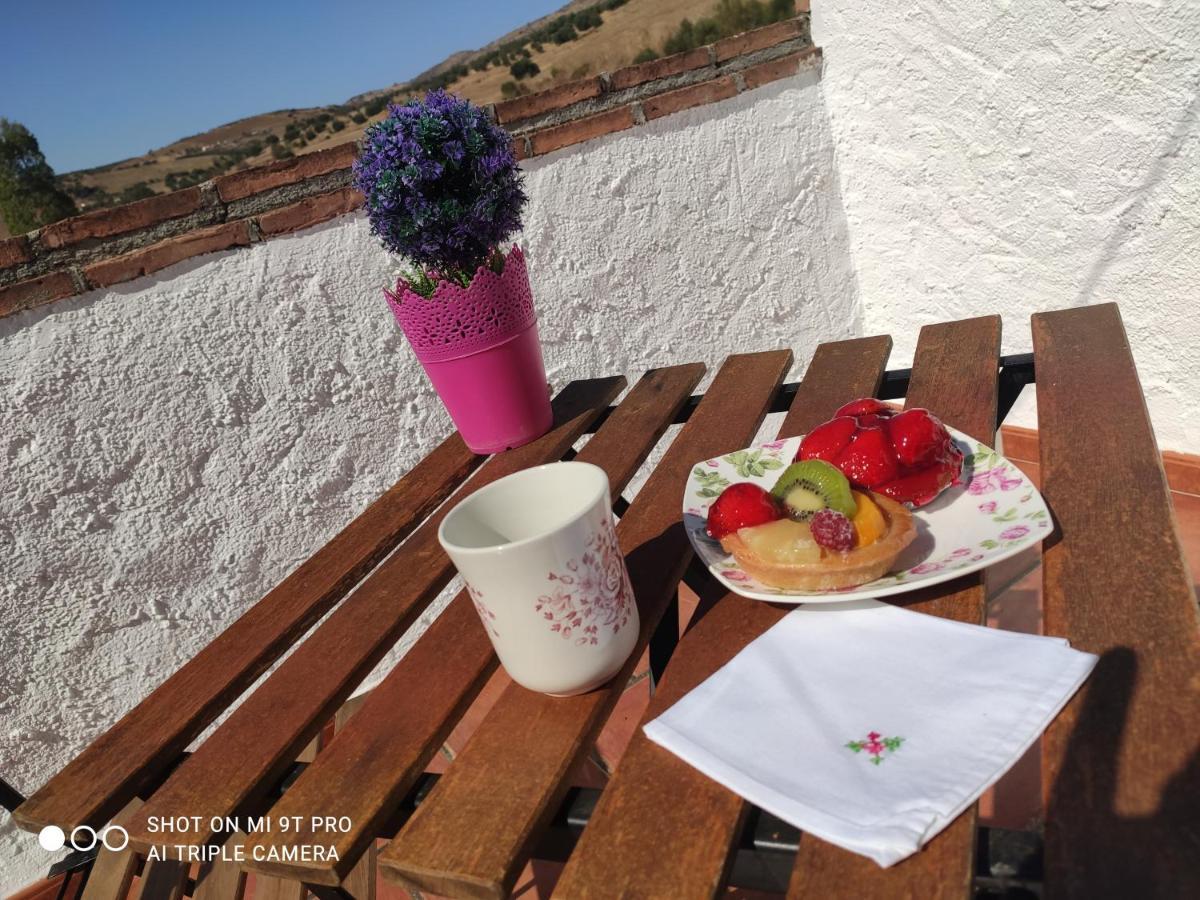 Bed and Breakfast El Lagar De Pepe Casabermeja Zewnętrze zdjęcie